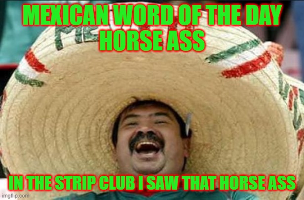 mexican word of the day | MEXICAN WORD OF THE DAY
HORSE ASS; IN THE STRIP CLUB I SAW THAT HORSE ASS | image tagged in mexican word of the day,memes,funny,funny memes,stripper | made w/ Imgflip meme maker