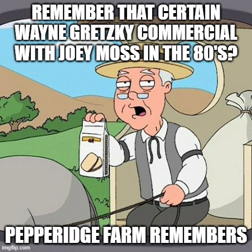 Pepperidge Farm Remembers | REMEMBER THAT CERTAIN WAYNE GRETZKY COMMERCIAL WITH JOEY MOSS IN THE 80'S? PEPPERIDGE FARM REMEMBERS | image tagged in memes,pepperidge farm remembers | made w/ Imgflip meme maker