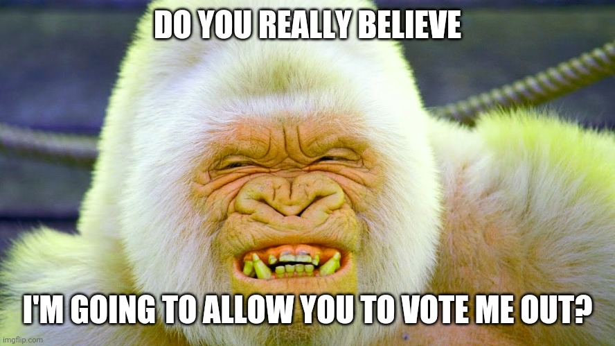 donald trump | DO YOU REALLY BELIEVE; I'M GOING TO ALLOW YOU TO VOTE ME OUT? | image tagged in donald trump | made w/ Imgflip meme maker