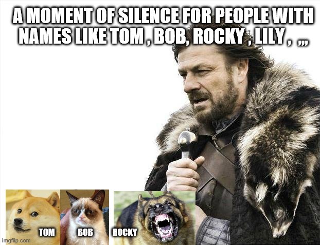 Names which are common as for pets | A MOMENT OF SILENCE FOR PEOPLE WITH NAMES LIKE TOM , BOB, ROCKY , LILY ,  ,,, TOM              BOB            ROCKY | image tagged in memes,names,condolence,poeple and their names,pets name,pets | made w/ Imgflip meme maker
