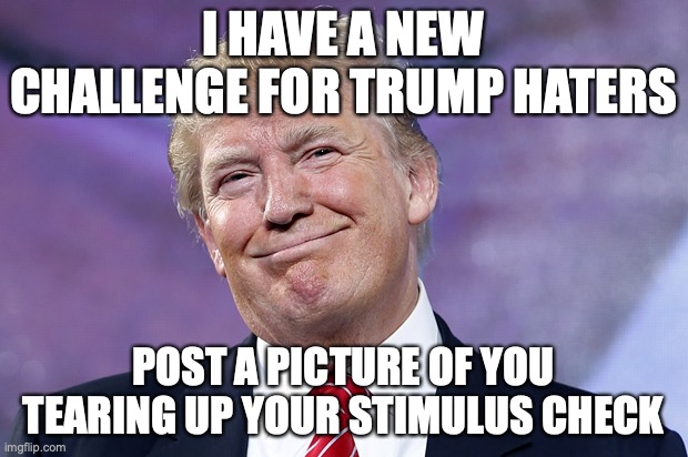 Donald Trump Smirk | I HAVE A NEW CHALLENGE FOR TRUMP HATERS; POST A PICTURE OF YOU TEARING UP YOUR STIMULUS CHECK | image tagged in donald trump smirk | made w/ Imgflip meme maker
