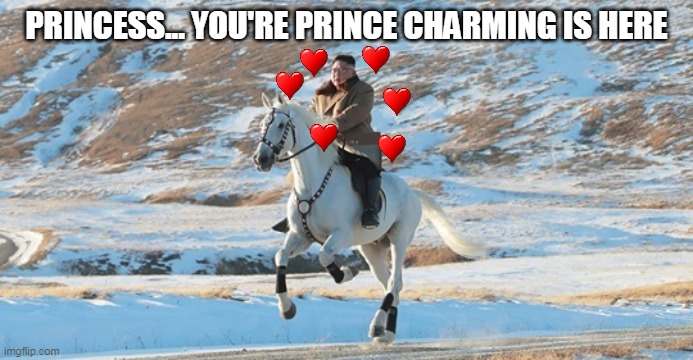 prince charming | PRINCESS... YOU'RE PRINCE CHARMING IS HERE | image tagged in kim jong un riding a white horse,meme,prince charming,funny | made w/ Imgflip meme maker