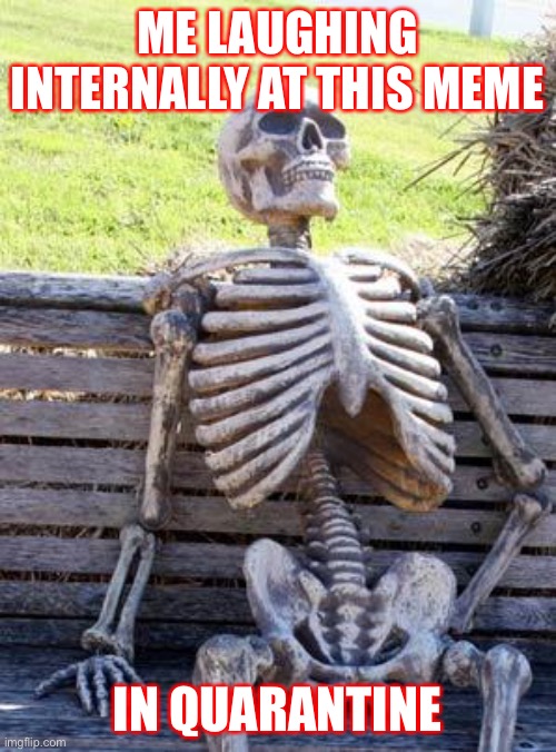 Waiting Skeleton Meme | ME LAUGHING INTERNALLY AT THIS MEME IN QUARANTINE | image tagged in memes,waiting skeleton | made w/ Imgflip meme maker