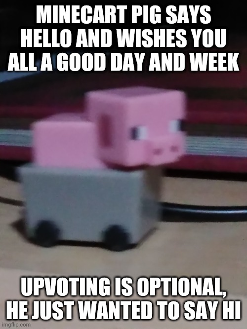 Minecart pig | MINECART PIG SAYS HELLO AND WISHES YOU ALL A GOOD DAY AND WEEK; UPVOTING IS OPTIONAL, HE JUST WANTED TO SAY HI | image tagged in minecraft,pig,cute,happy,good luck | made w/ Imgflip meme maker