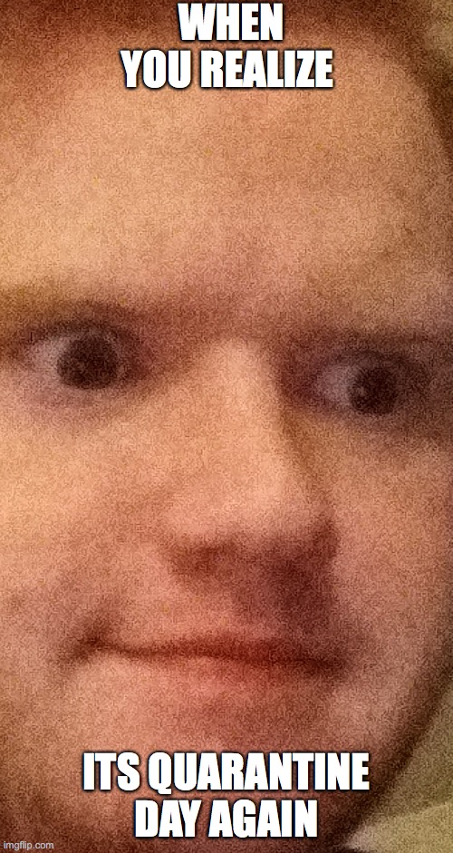 WHEN YOU REALIZE; ITS QUARANTINE DAY AGAIN | image tagged in covid-19 | made w/ Imgflip meme maker