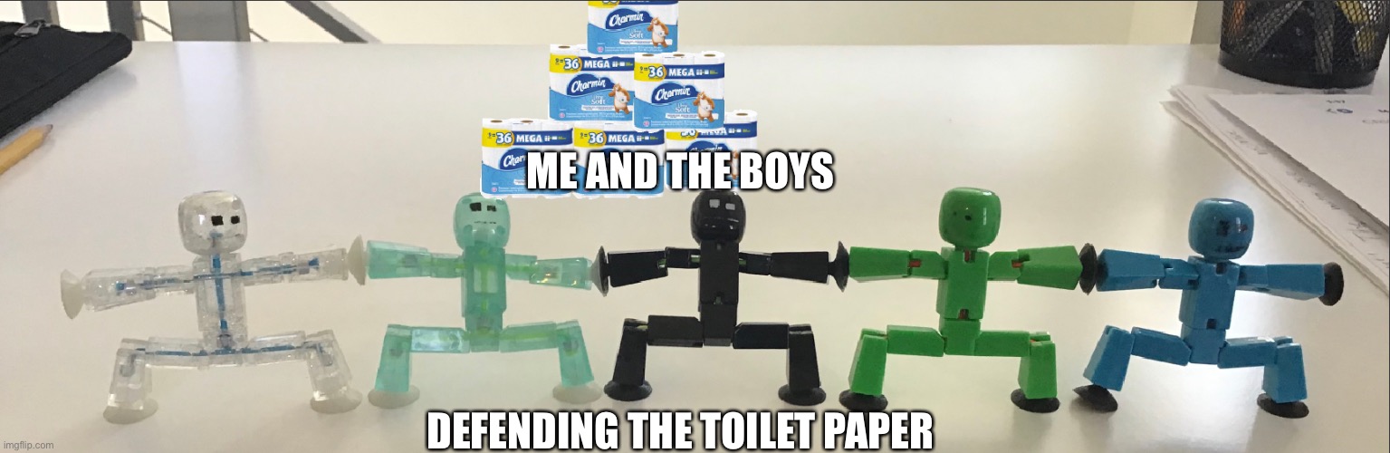 ME AND THE BOYS; DEFENDING THE TOILET PAPER | image tagged in covid-19,toilet paper,me and the boys,photoshop | made w/ Imgflip meme maker