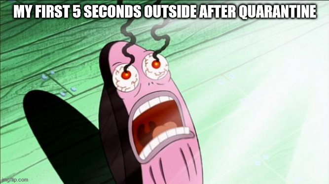 MY FIRST 5 SECONDS OUTSIDE AFTER QUARANTINE | image tagged in quarantine,spongebob | made w/ Imgflip meme maker