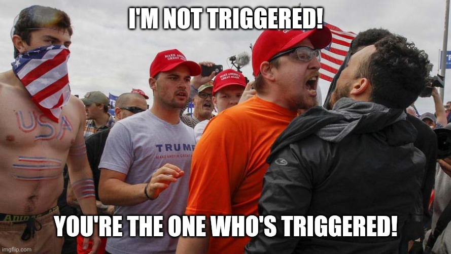 Angry Red Cap | I'M NOT TRIGGERED! YOU'RE THE ONE WHO'S TRIGGERED! | image tagged in angry red cap | made w/ Imgflip meme maker