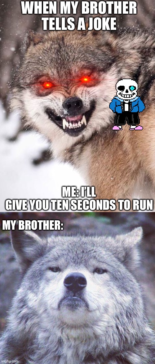 WHEN MY BROTHER TELLS A JOKE; ME: I’LL GIVE YOU TEN SECONDS TO RUN; MY BROTHER: | image tagged in angry wolf,gorgeous wolf | made w/ Imgflip meme maker