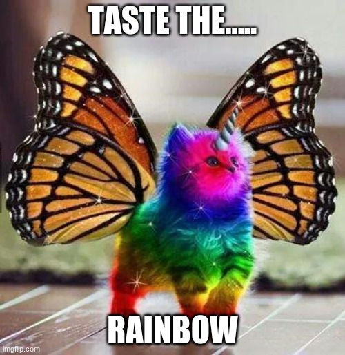 Rainbow unicorn butterfly kitten | TASTE THE..... RAINBOW | image tagged in rainbow unicorn butterfly kitten | made w/ Imgflip meme maker