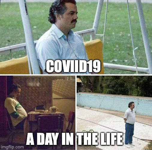 A day in the life | COVIID19; A DAY IN THE LIFE | image tagged in forever alone,coronavirus,covid19,schedule,food | made w/ Imgflip meme maker