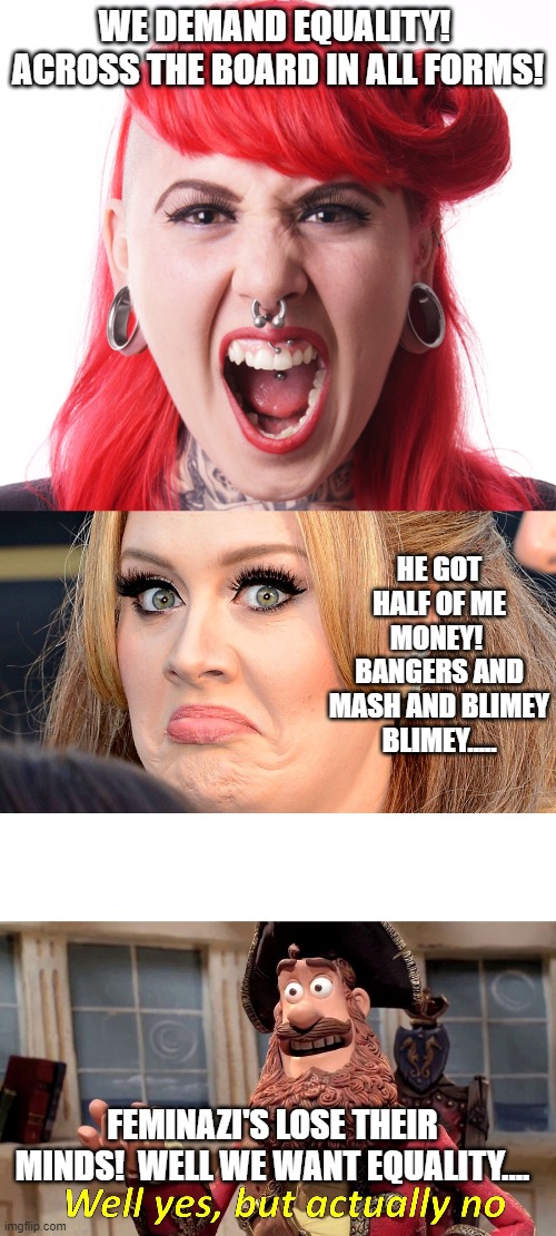 WE DEMAND EQUALITY!  ACROSS THE BOARD IN ALL FORMS! HE GOT HALF OF ME MONEY!  BANGERS AND MASH AND BLIMEY BLIMEY..... FEMINAZI'S LOSE THEIR MINDS!  WELL WE WANT EQUALITY.... | image tagged in angry feminist,mad adele,memes,well yes but actually no | made w/ Imgflip meme maker