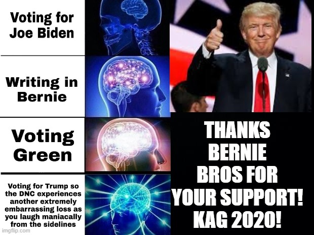 Thanks Bernie Bros for Your Support!  KAG 2020! | THANKS BERNIE BROS FOR YOUR SUPPORT! KAG 2020! | image tagged in feel the bern,trump,democrats,stupid liberals | made w/ Imgflip meme maker