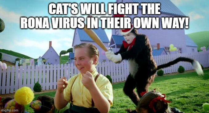 Cat & The Hat | CAT'S WILL FIGHT THE RONA VIRUS IN THEIR OWN WAY! | image tagged in cat  the hat | made w/ Imgflip meme maker