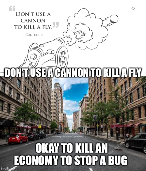 Don’t use a cannon to kill a fly | DON’T USE A CANNON TO KILL A FLY; OKAY TO KILL AN ECONOMY TO STOP A BUG | image tagged in coronavirus,economy,shutdown | made w/ Imgflip meme maker