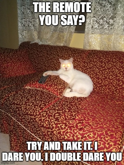 Huey Remote | THE REMOTE YOU SAY? TRY AND TAKE IT. I DARE YOU. I DOUBLE DARE YOU | image tagged in evil cat | made w/ Imgflip meme maker