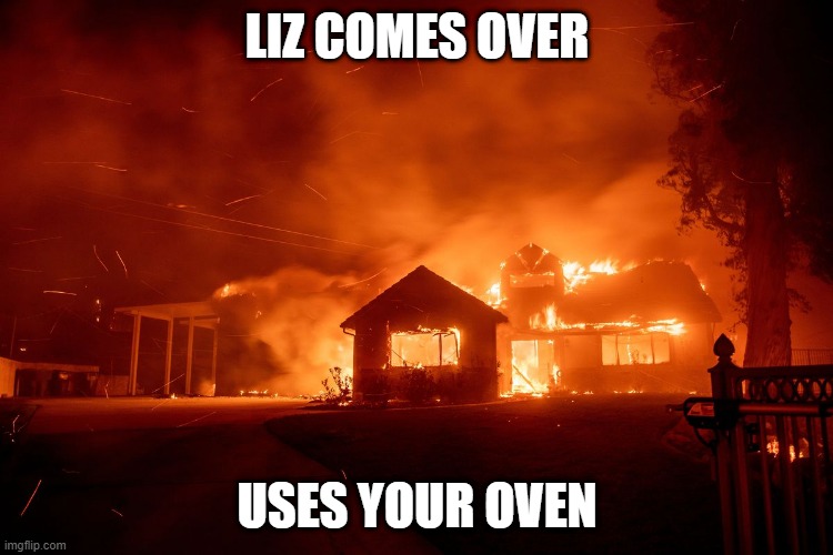 Liz Oven | LIZ COMES OVER; USES YOUR OVEN | image tagged in liz oven fire | made w/ Imgflip meme maker