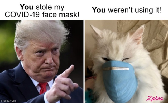Zahra ~ My Brother's Cat :) | image tagged in memes,cats,zahra,donald trump,covid-19 | made w/ Imgflip meme maker