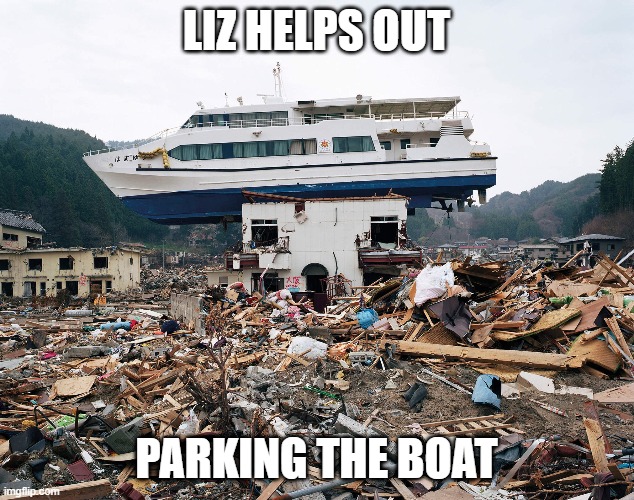 Liz parks the boat | LIZ HELPS OUT; PARKING THE BOAT | image tagged in liz,boat | made w/ Imgflip meme maker