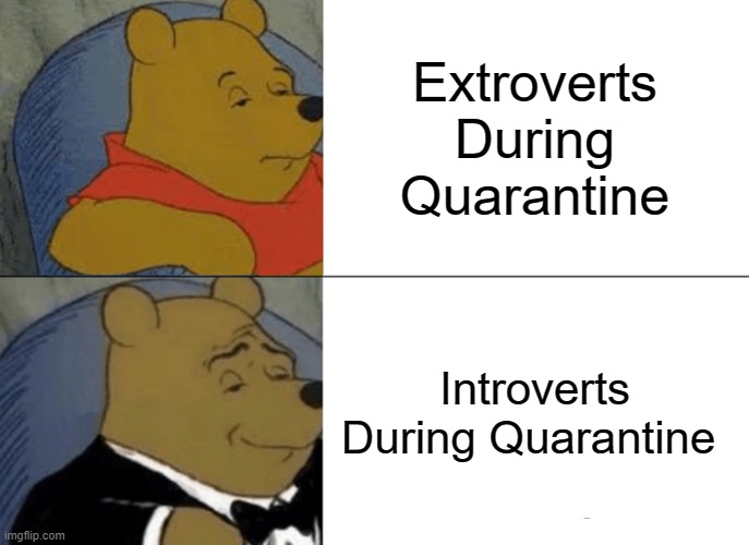 Tuxedo Winnie The Pooh Meme | Extroverts During Quarantine; Introverts During Quarantine | image tagged in memes,tuxedo winnie the pooh,coronavirus,corona virus,corona,introverts | made w/ Imgflip meme maker