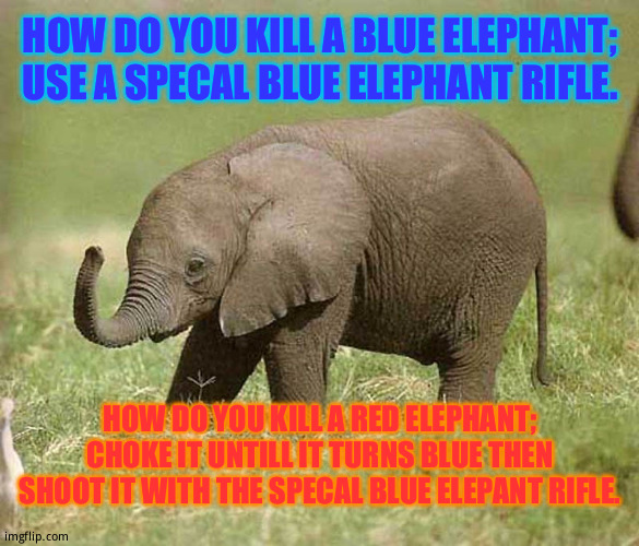 Baby elephant | HOW DO YOU KILL A BLUE ELEPHANT; USE A SPECAL BLUE ELEPHANT RIFLE. HOW DO YOU KILL A RED ELEPHANT; CHOKE IT UNTILL IT TURNS BLUE THEN SHOOT IT WITH THE SPECAL BLUE ELEPANT RIFLE. | image tagged in baby elephant | made w/ Imgflip meme maker