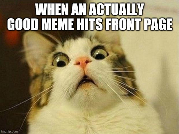 Sudden surprise noises. | WHEN AN ACTUALLY GOOD MEME HITS FRONT PAGE | image tagged in memes,scared cat | made w/ Imgflip meme maker