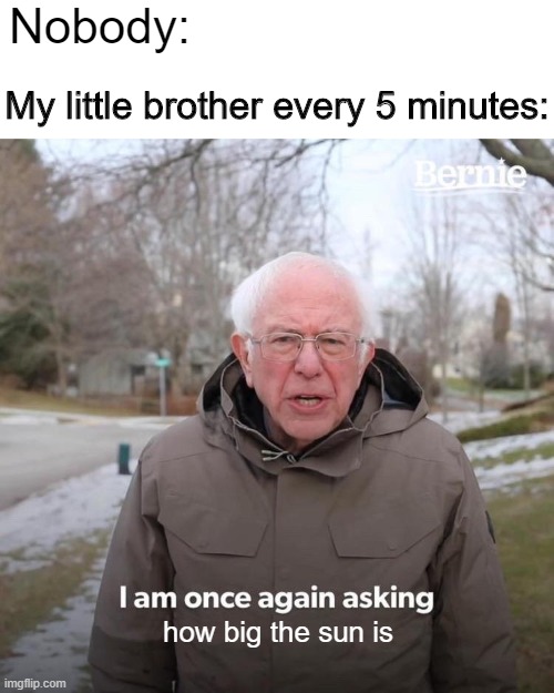 Anyone else? | Nobody:; My little brother every 5 minutes:; how big the sun is | image tagged in memes,bernie i am once again asking for your support,funny,bernie sanders,relatable | made w/ Imgflip meme maker