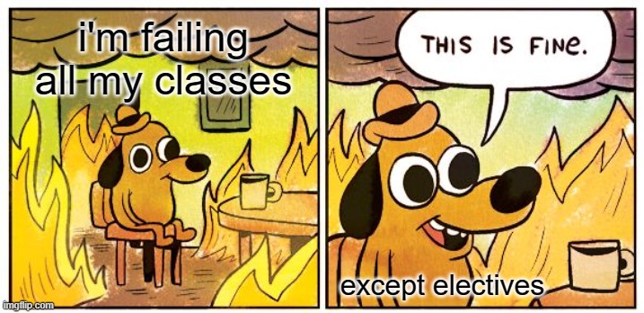 This Is Fine | i'm failing all my classes; except electives | image tagged in memes,this is fine | made w/ Imgflip meme maker