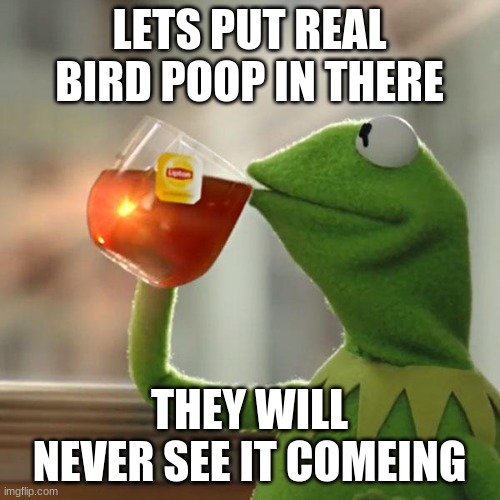 LETS PUT REAL BIRD POOP IN THERE THEY WILL NEVER SEE IT COMEING | image tagged in memes,but that's none of my business,kermit the frog | made w/ Imgflip meme maker