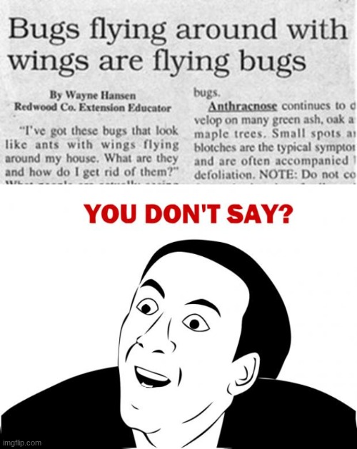 You Didn't Know This, Riiiight? | image tagged in memes,you don't say,bugs,newspaper,headlines,funny memes | made w/ Imgflip meme maker