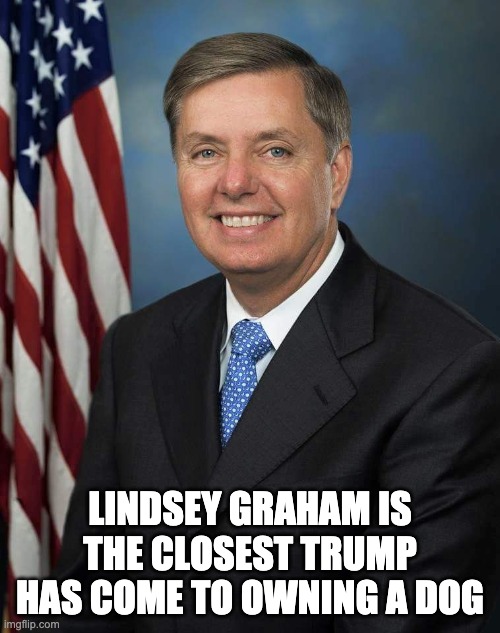 Trump's dog | LINDSEY GRAHAM IS THE CLOSEST TRUMP HAS COME TO OWNING A DOG | image tagged in lindsey graham,trump,republicans,conservatives,fox news | made w/ Imgflip meme maker