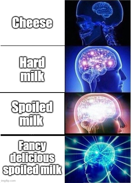 Expanding Brain Meme | Cheese; Hard milk; Spoiled milk; Fancy delicious spoiled milk | image tagged in memes,expanding brain | made w/ Imgflip meme maker