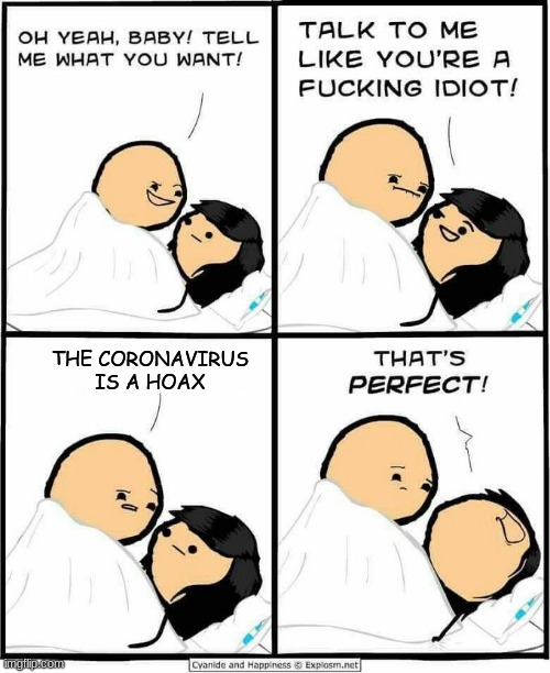 Cyanide and Happiness idiot | THE CORONAVIRUS IS A HOAX | image tagged in cyanide and happiness idiot | made w/ Imgflip meme maker