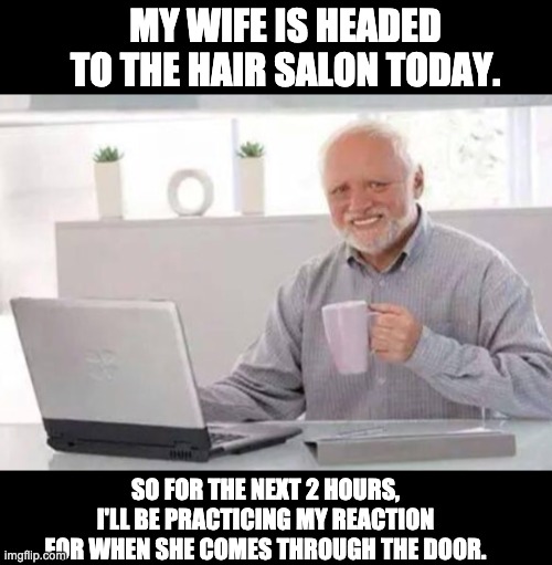 Harold | MY WIFE IS HEADED TO THE HAIR SALON TODAY. SO FOR THE NEXT 2 HOURS, I'LL BE PRACTICING MY REACTION FOR WHEN SHE COMES THROUGH THE DOOR. | image tagged in harold | made w/ Imgflip meme maker