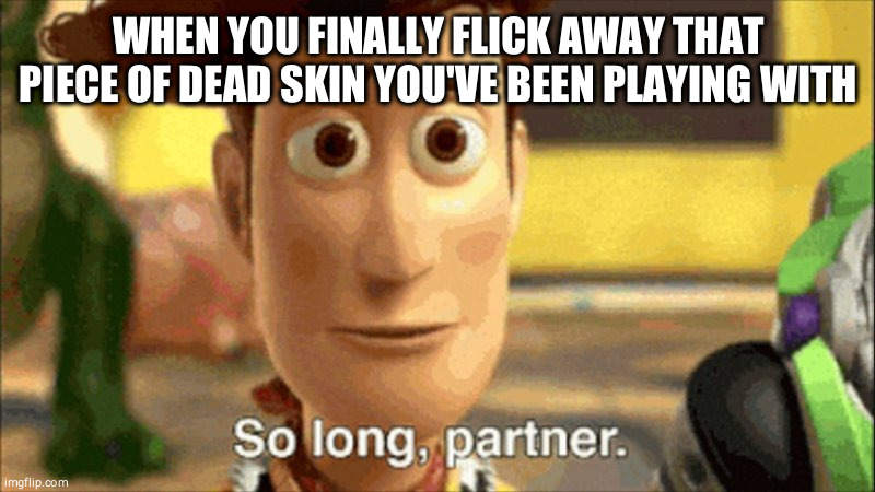 so long partner | WHEN YOU FINALLY FLICK AWAY THAT PIECE OF DEAD SKIN YOU'VE BEEN PLAYING WITH | image tagged in so long partner | made w/ Imgflip meme maker