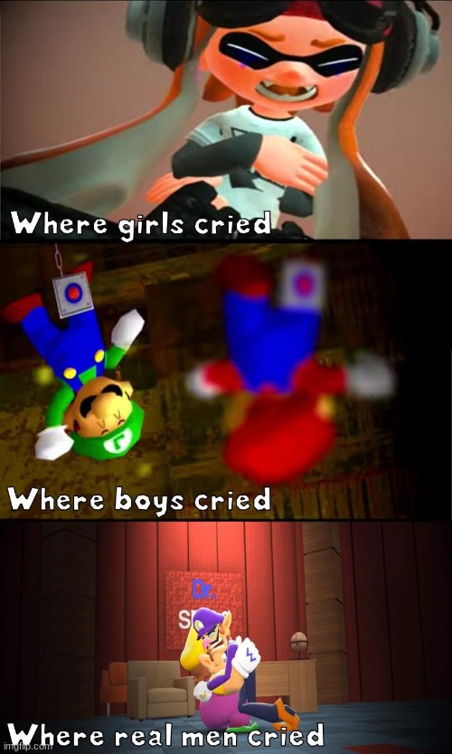 Me no cry but others did cry. | image tagged in smg4 | made w/ Imgflip meme maker