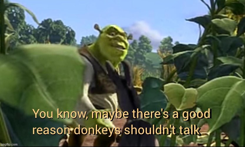 Maybe there's a good reason donkeys shouldn't talk | image tagged in maybe there's a good reason donkeys shouldn't talk | made w/ Imgflip meme maker