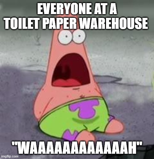 Suprised Patrick | EVERYONE AT A TOILET PAPER WAREHOUSE; "WAAAAAAAAAAAAH" | image tagged in suprised patrick | made w/ Imgflip meme maker