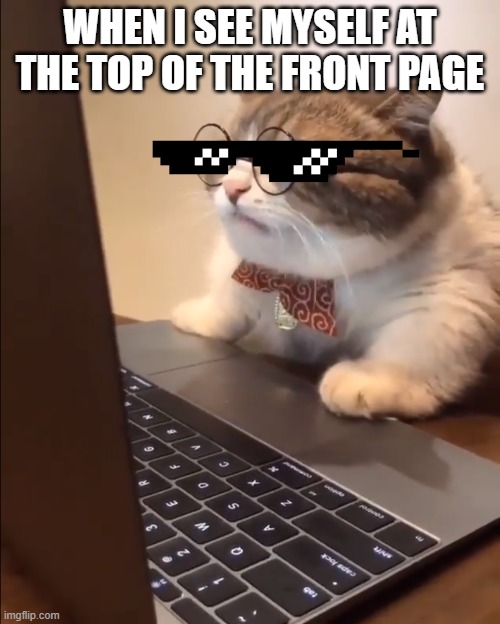 It feels good up here, doesn't it, KewLew | WHEN I SEE MYSELF AT THE TOP OF THE FRONT PAGE | image tagged in research cat,kewlew,top,front page | made w/ Imgflip meme maker