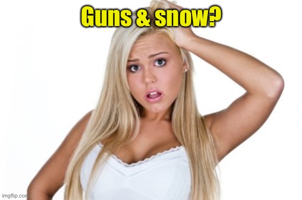 Dumb Blonde | Guns & snow? | image tagged in dumb blonde | made w/ Imgflip meme maker