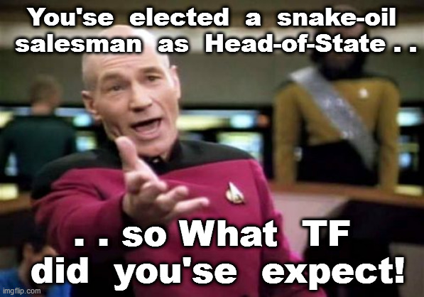 Picard Wtf Meme | You'se  elected  a  snake-oil  salesman  as  Head-of-State . . . . so What  TF  did  you'se  expect! | image tagged in memes,picard wtf | made w/ Imgflip meme maker