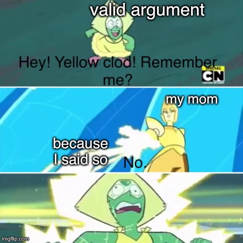 Hey yellow clod remember me? | valid argument; my mom; because I said so | image tagged in hey yellow clod remember me | made w/ Imgflip meme maker