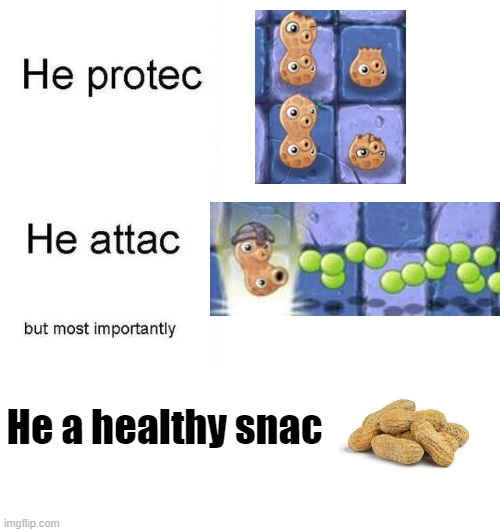 He protec he attac but most importantly | He a healthy snac | image tagged in he protec he attac but most importantly | made w/ Imgflip meme maker