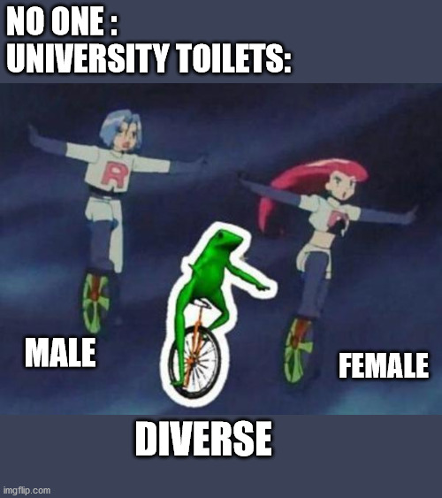 NO ONE :
UNIVERSITY TOILETS:; MALE; FEMALE; DIVERSE | image tagged in toilets,genders,2 genders,university,memes | made w/ Imgflip meme maker