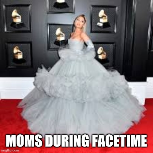 MOMS DURING FACETIME | image tagged in memes | made w/ Imgflip meme maker