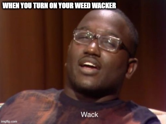 Wack | WHEN YOU TURN ON YOUR WEED WACKER | image tagged in wack | made w/ Imgflip meme maker