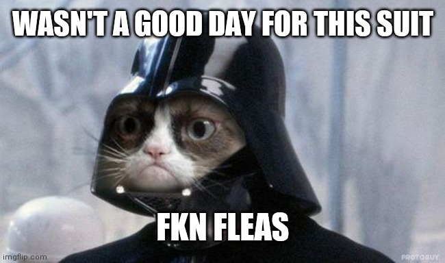 Grumpy Cat Star Wars Meme | WASN'T A GOOD DAY FOR THIS SUIT; FKN FLEAS | image tagged in memes,grumpy cat star wars,grumpy cat | made w/ Imgflip meme maker