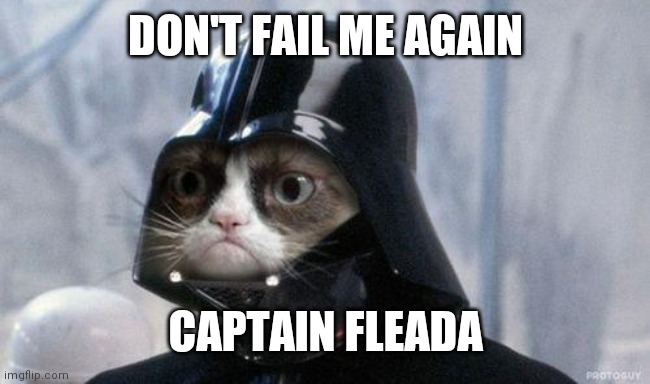 Grumpy Cat Star Wars Meme | DON'T FAIL ME AGAIN; CAPTAIN FLEADA | image tagged in memes,grumpy cat star wars,grumpy cat | made w/ Imgflip meme maker