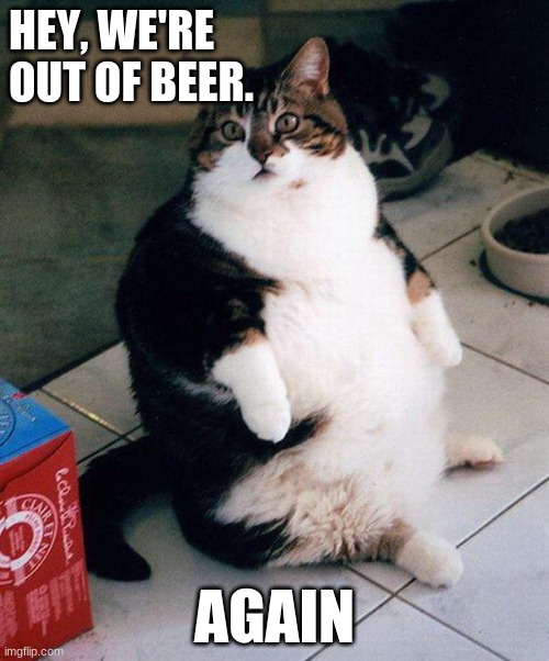 fat cat | HEY, WE'RE OUT OF BEER. AGAIN | image tagged in fat cat | made w/ Imgflip meme maker
