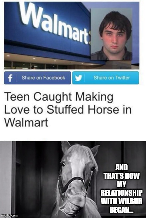Horsing Around | AND THAT'S HOW MY RELATIONSHIP WITH WILBUR BEGAN... | image tagged in mr ed | made w/ Imgflip meme maker